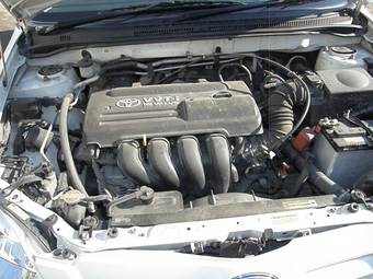 2004 Toyota Allex Pictures