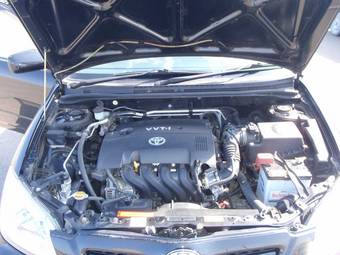 2004 Toyota Allex Photos