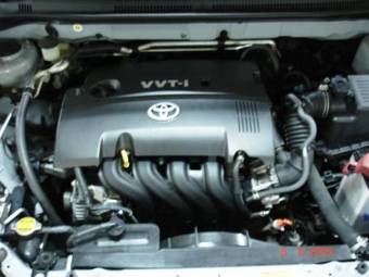 2004 Toyota Allex Pics