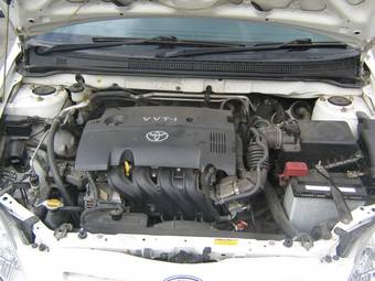 2004 Toyota Allex Pictures