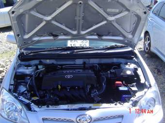 2004 Toyota Allex Pictures