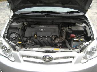 2004 Toyota Allex Images