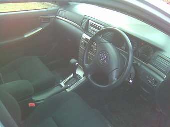 2005 Toyota Allex Pictures