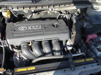 2005 Toyota Allex Photos