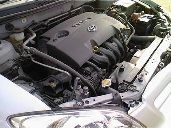2005 Toyota Allex Pictures
