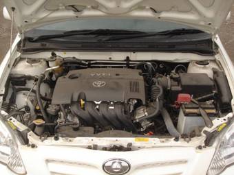 2005 Toyota Allex Pictures