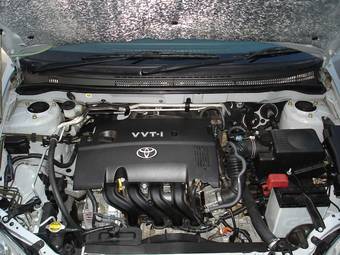 2005 Toyota Allex Photos