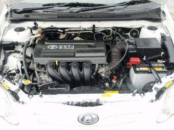 2005 Toyota Allex Photos