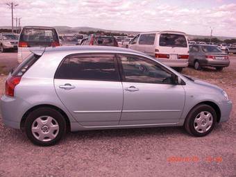 2005 Toyota Allex Pictures