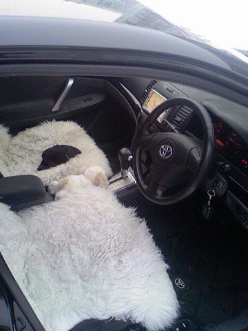 2003 Toyota Allion