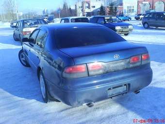 1995 Aristo