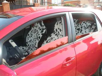 2008 Toyota Auris Pictures