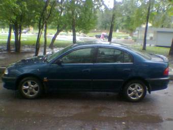 Avensis