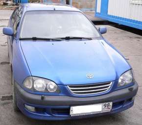 Avensis