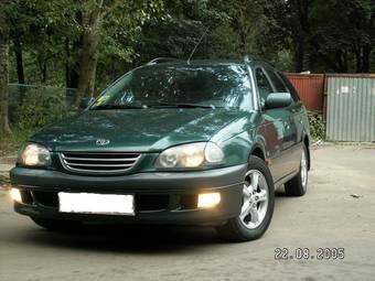 Avensis