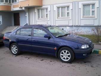 Avensis