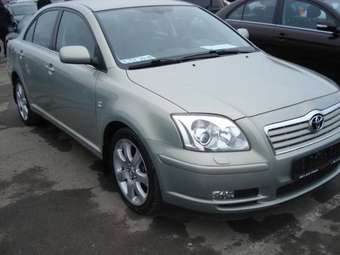 Avensis