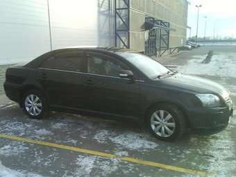 Avensis