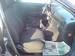 Preview Toyota Avensis
