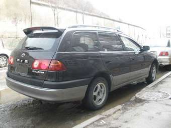 1998 Caldina