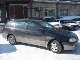 Caldina