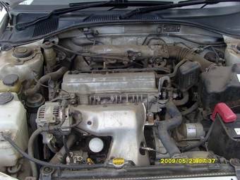 2002 Toyota Caldina Photos