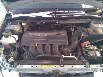 2003 Toyota Caldina Photos