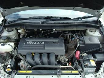 2004 Toyota Caldina Pictures