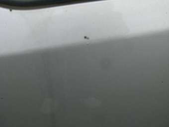 2005 Toyota Caldina For Sale