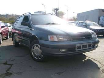Toyota Caldina Van