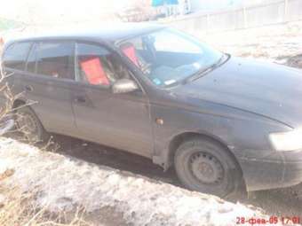 Caldina Van