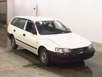 Caldina Van