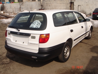Caldina Van