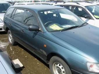 Caldina Van
