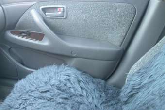 1997 Toyota Camry Pictures