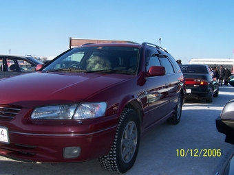 Camry Gracia