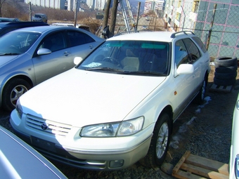 Camry Gracia
