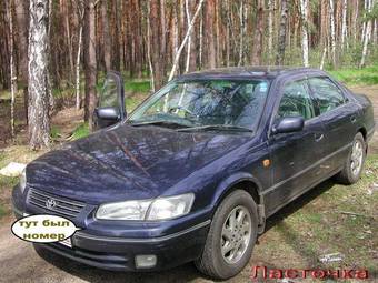 Toyota Camry Gracia
