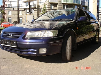 Camry Gracia