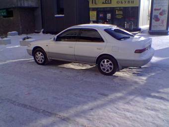 Camry Gracia