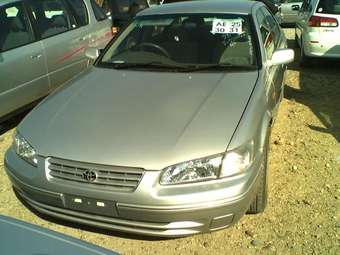 Camry Gracia