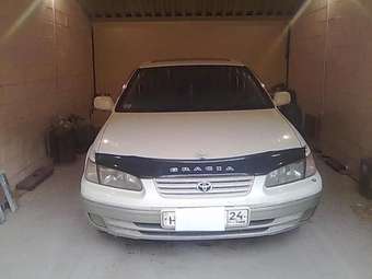 Camry Gracia