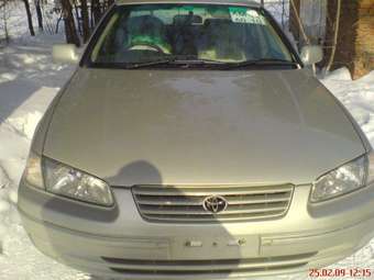 1998 Toyota Camry Gracia Pictures