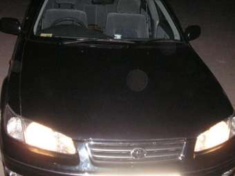 1998 Toyota Camry Gracia Pictures