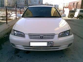 Camry Gracia