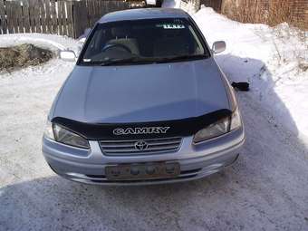 Camry Gracia