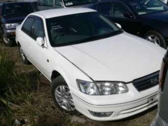 Camry Gracia