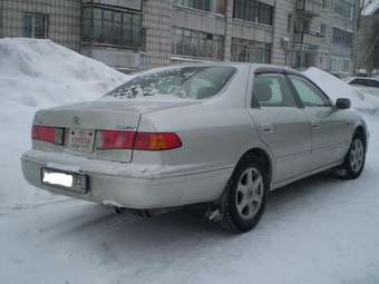 Camry Gracia