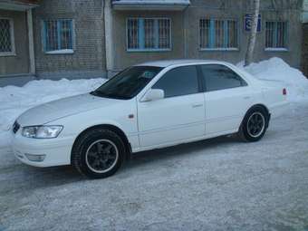 Camry Gracia