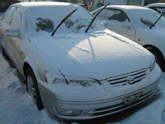 Camry Gracia